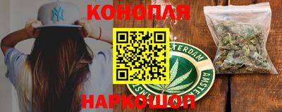 стафф Моздок