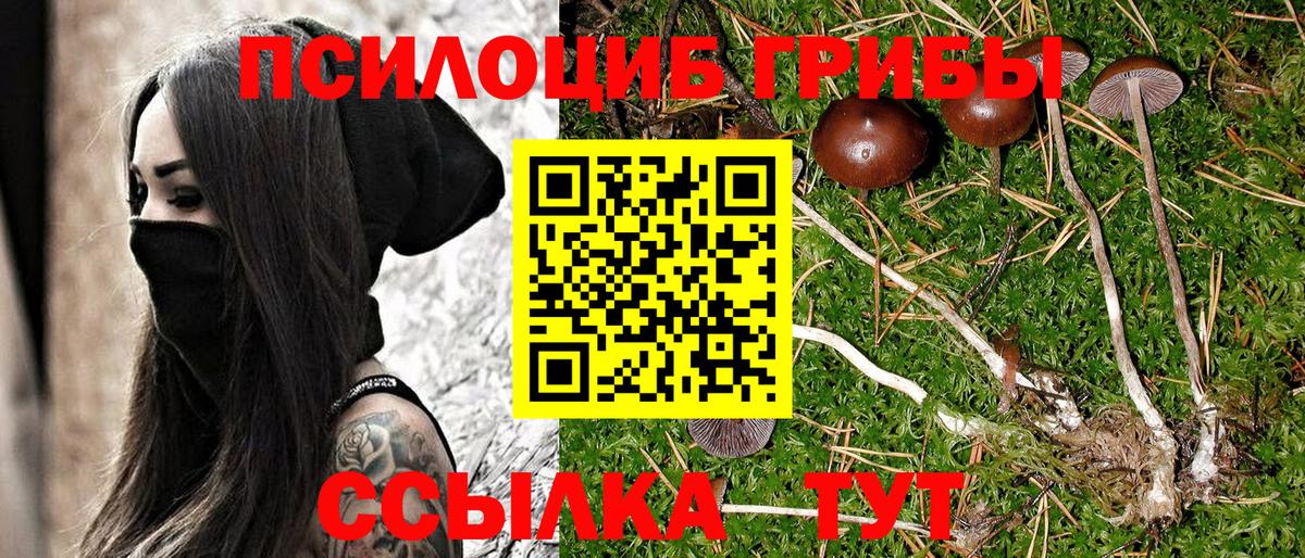 Псилоцибиновые грибы MAGIC MUSHROOMS  Вход с VPN  купить  цена  Волгоград 